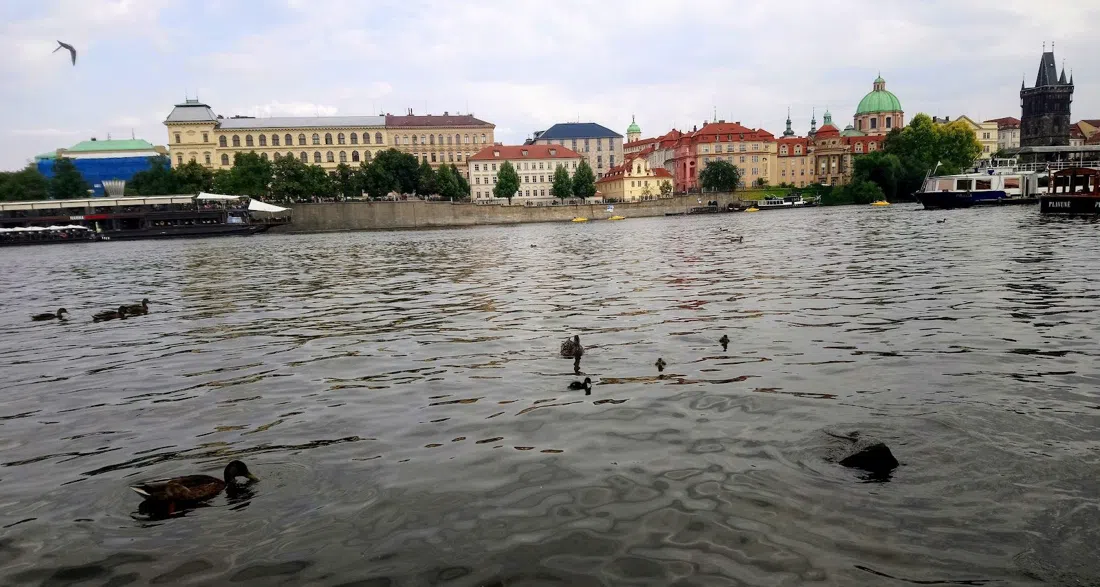 Vltavská, Prag