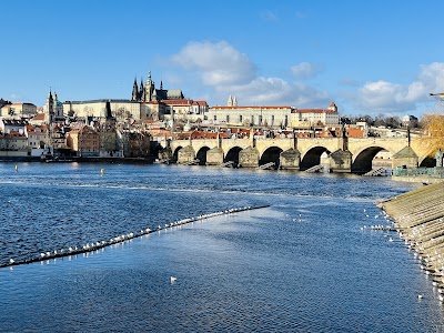 Charles Bridge (Karlův most), Prague