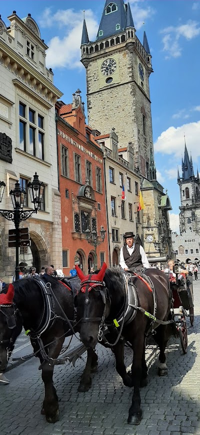 Nové Město (Ciudad Nueva)